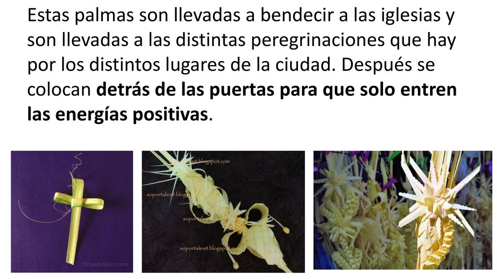 Estas palmas son llevadas a bendecir a las iglesias y son llevadas a las distintas peregrinaciones que hay por los distintos lugares de la ciudad.