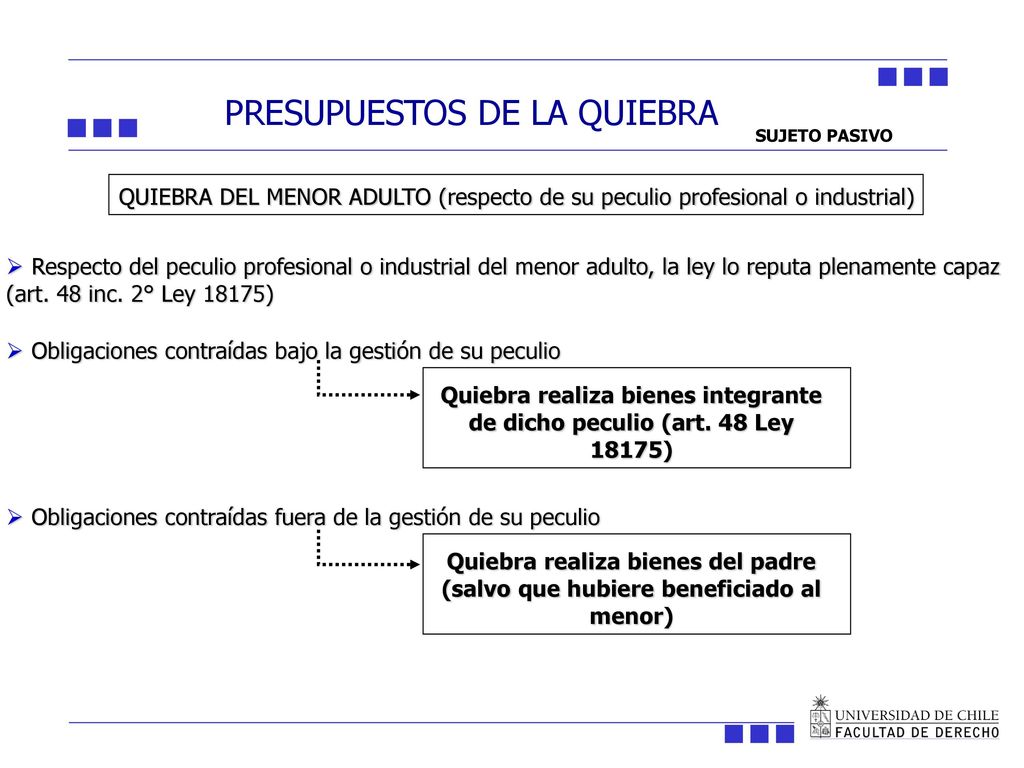 Quiebra realiza bienes integrante de dicho peculio (art. 48 Ley 18175)