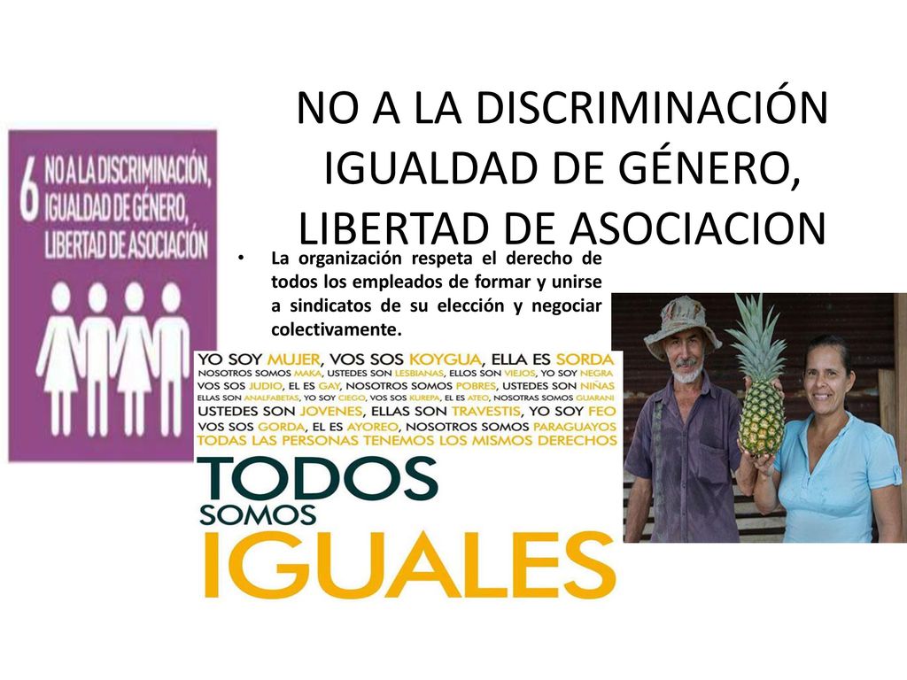 NO A LA DISCRIMINACIÓN IGUALDAD DE GÉNERO, LIBERTAD DE ASOCIACION