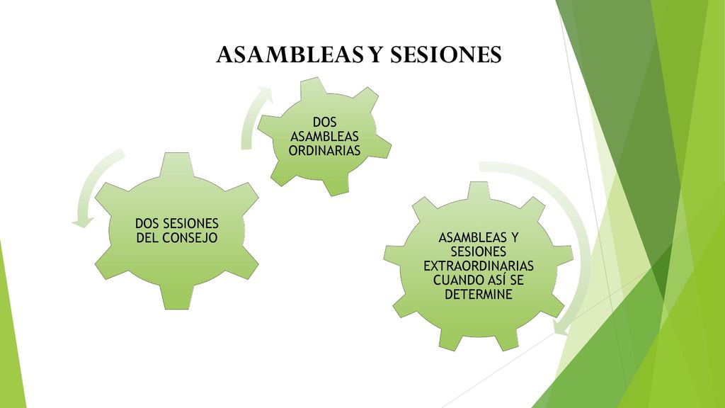 ASAMBLEAS Y SESIONES ASAMBLEAS Y SESIONES EXTRAORDINARIAS CUANDO ASÍ SE DETERMINE. DOS SESIONES DEL CONSEJO.