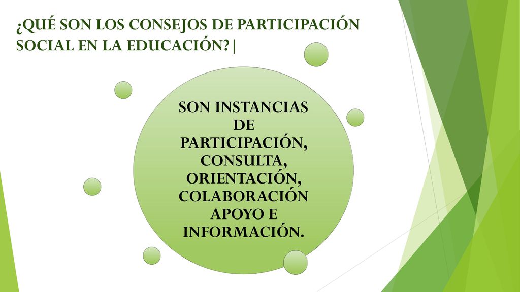¿QUÉ SON LOS CONSEJOS DE PARTICIPACIÓN SOCIAL EN LA EDUCACIÓN |