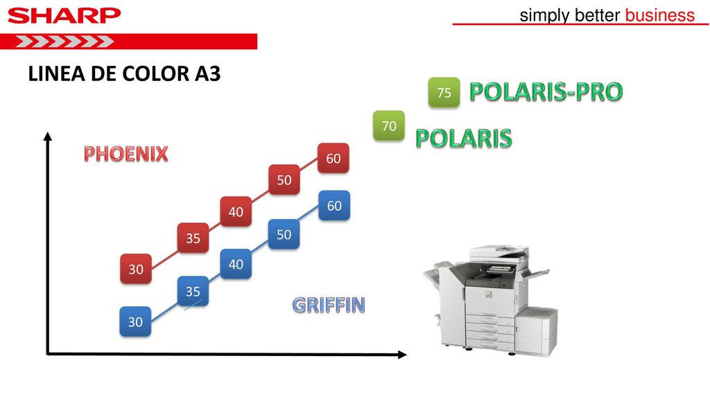 POLARIS-PRO POLARIS LINEA DE COLOR A3 PHOENIX GRIFFIN