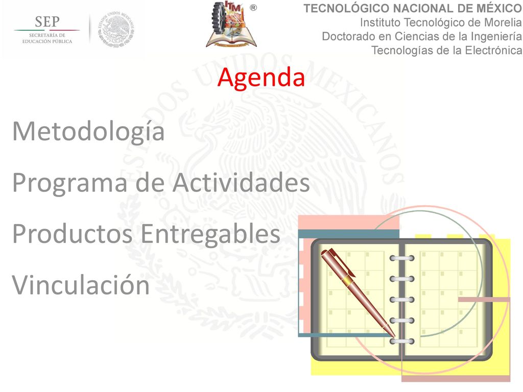 Programa de Actividades Productos Entregables Vinculación