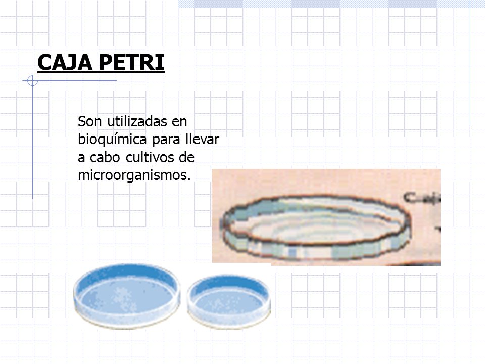 CAJA PETRI Son utilizadas en bioquímica para llevar a cabo cultivos de microorganismos.