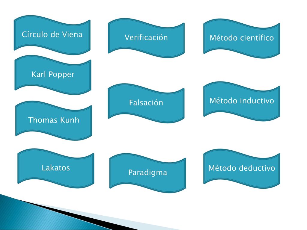 Círculo de Viena Verificación. Método científico. Karl Popper. Falsación. Método inductivo. Thomas Kunh.