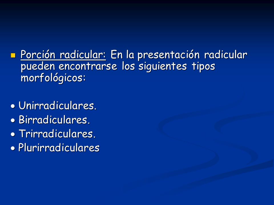 Porción radicular: En la presentación radicular pueden encontrarse los siguientes tipos morfológicos: