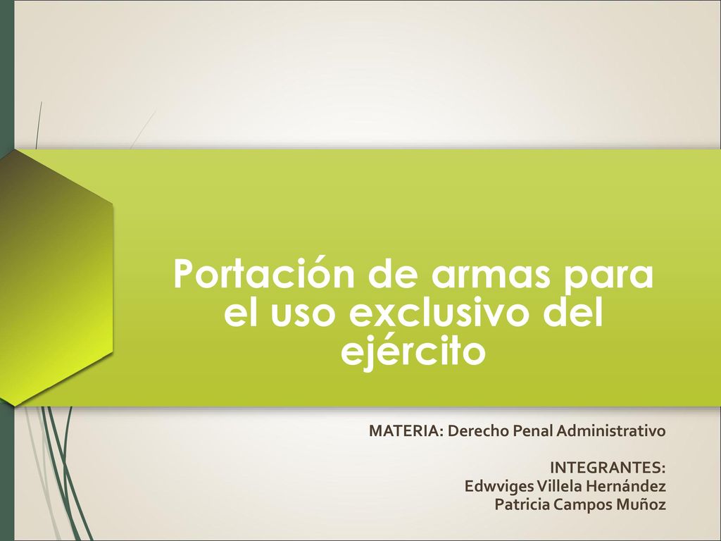 Portación de armas para el uso exclusivo del ejército