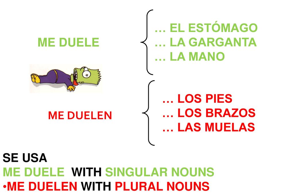 … EL ESTÓMAGO … LA GARGANTA. … LA MANO. ME DUELE. … LOS PIES. … LOS BRAZOS. … LAS MUELAS. ME DUELEN.