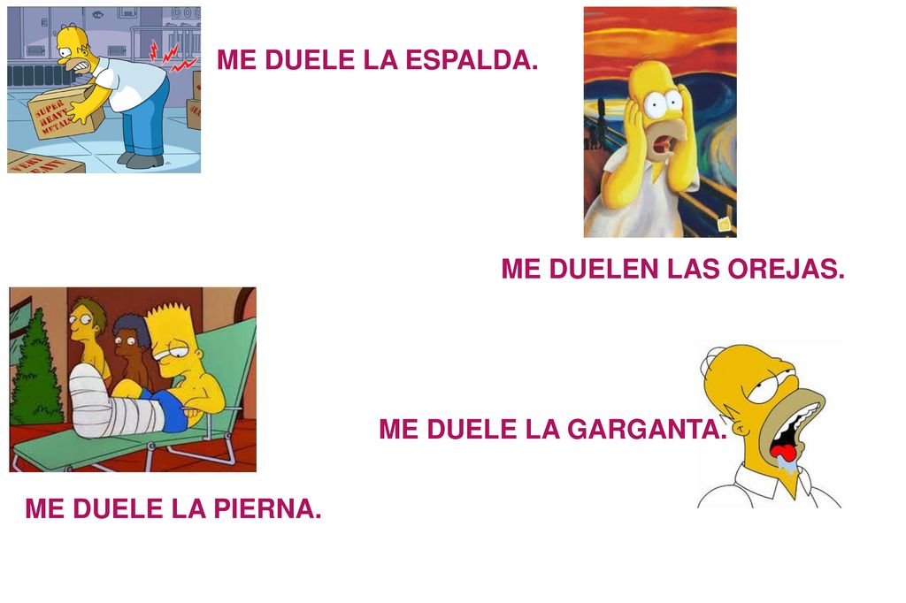 ME DUELE LA ESPALDA. ME DUELEN LAS OREJAS. ME DUELE LA GARGANTA. ME DUELE LA PIERNA.