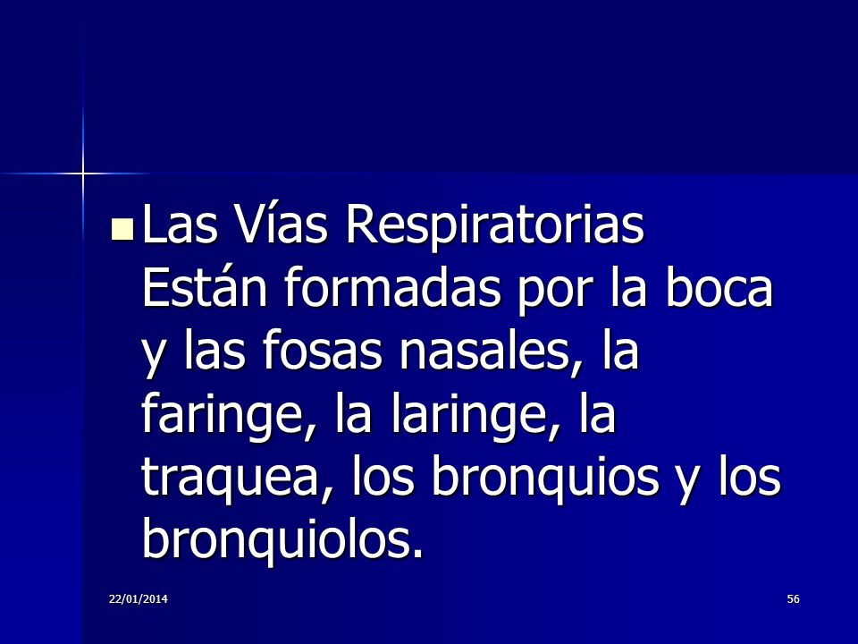 Las Vías Respiratorias Están formadas por la boca y las fosas nasales, la faringe, la laringe, la traquea, los bronquios y los bronquiolos.