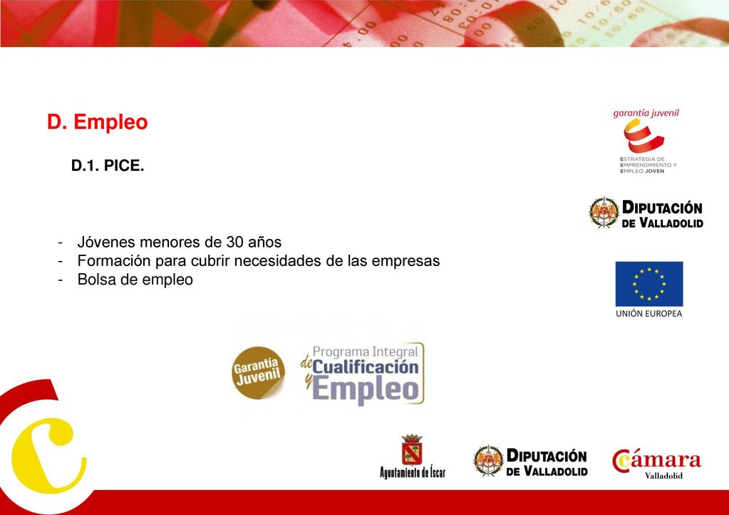 D. Empleo D.1. PICE. Jóvenes menores de 30 años