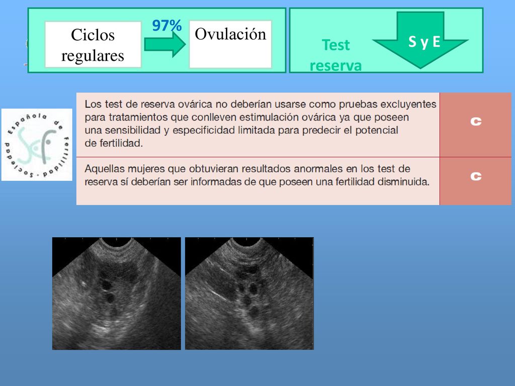 97% Ciclos regulares Ovulación S y E Test reserva 31