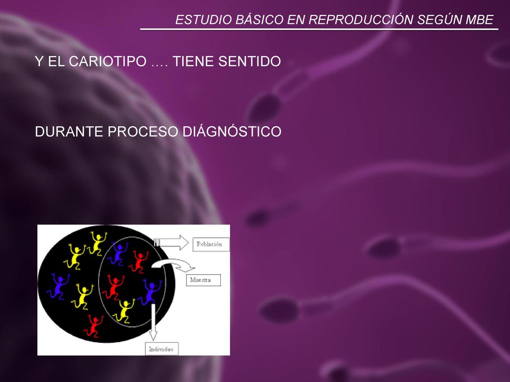 Y EL CARIOTIPO …. TIENE SENTIDO