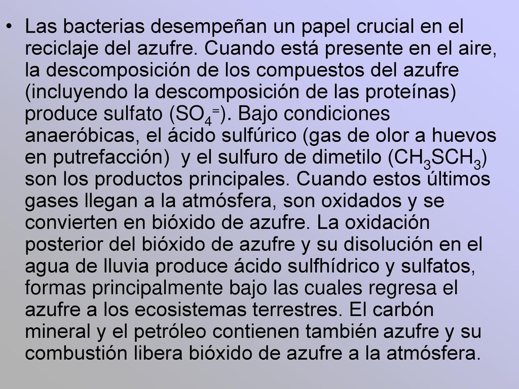 Las bacterias desempeñan un papel crucial en el reciclaje del azufre