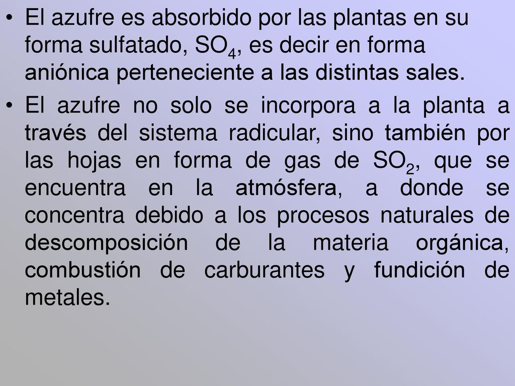 El azufre es absorbido por las plantas en su forma sulfatado, SO4, es decir en forma aniónica perteneciente a las distintas sales.