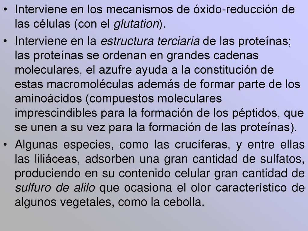 Interviene en los mecanismos de óxido-reducción de las células (con el glutation).