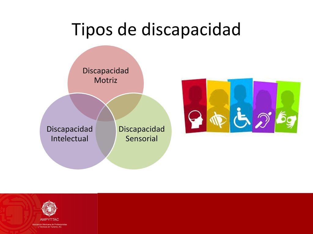 Tipos de discapacidad Discapacidad Motriz Discapacidad Sensorial