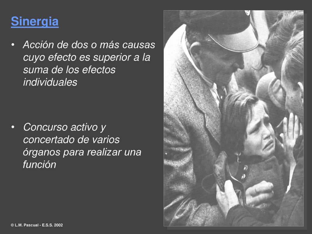 Sinergia Acción de dos o más causas cuyo efecto es superior a la suma de los efectos individuales.