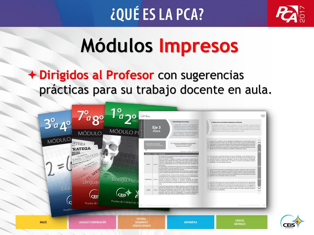 Módulos Impresos Dirigidos al Profesor con sugerencias prácticas para su trabajo docente en aula.
