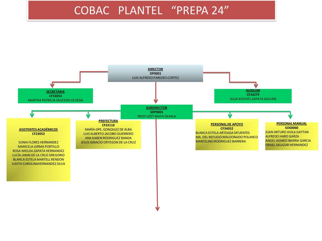 COBAC PLANTEL PREPA 24 DIRECTOR DP0001 LUIS ALFREDO PAREDES CORTEZ