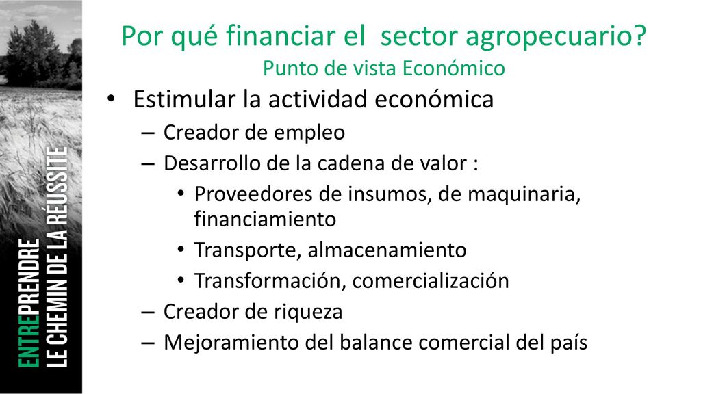 Por qué financiar el sector agropecuario Punto de vista Económico