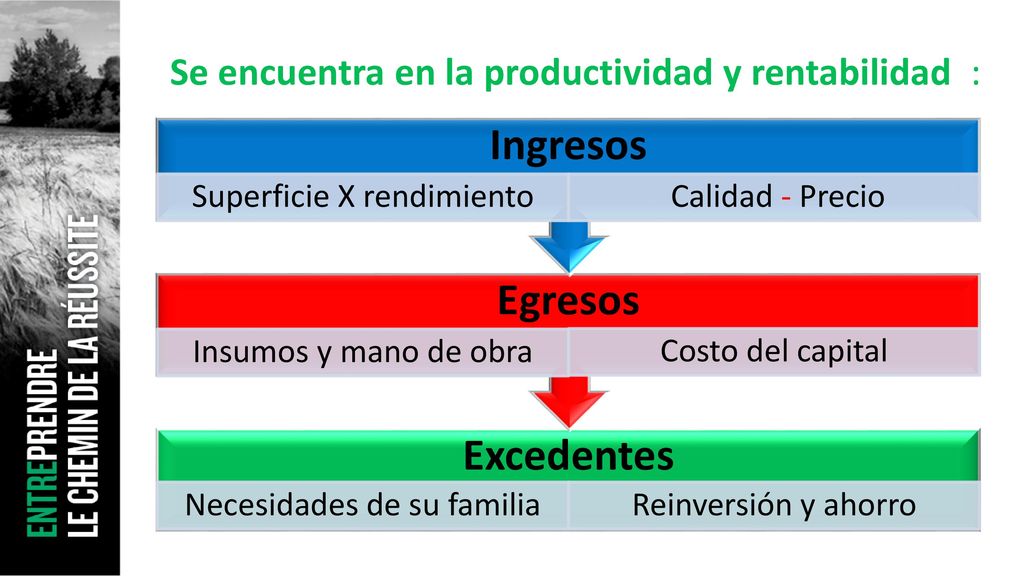 Se encuentra en la productividad y rentabilidad :