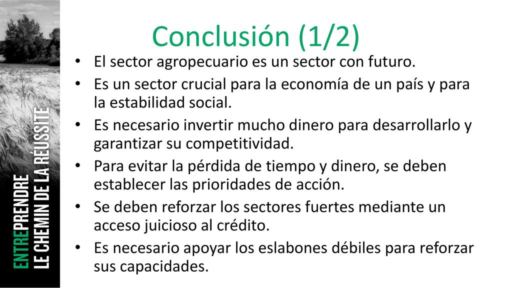 Conclusión (1/2) El sector agropecuario es un sector con futuro.