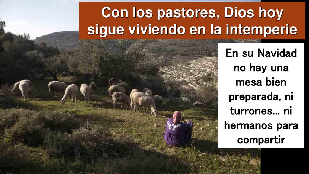 Con los pastores, Dios hoy sigue viviendo en la intemperie
