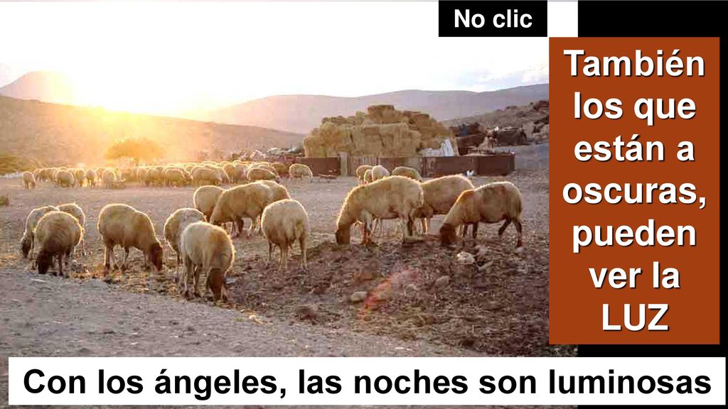 También los que están a oscuras, pueden ver la LUZ