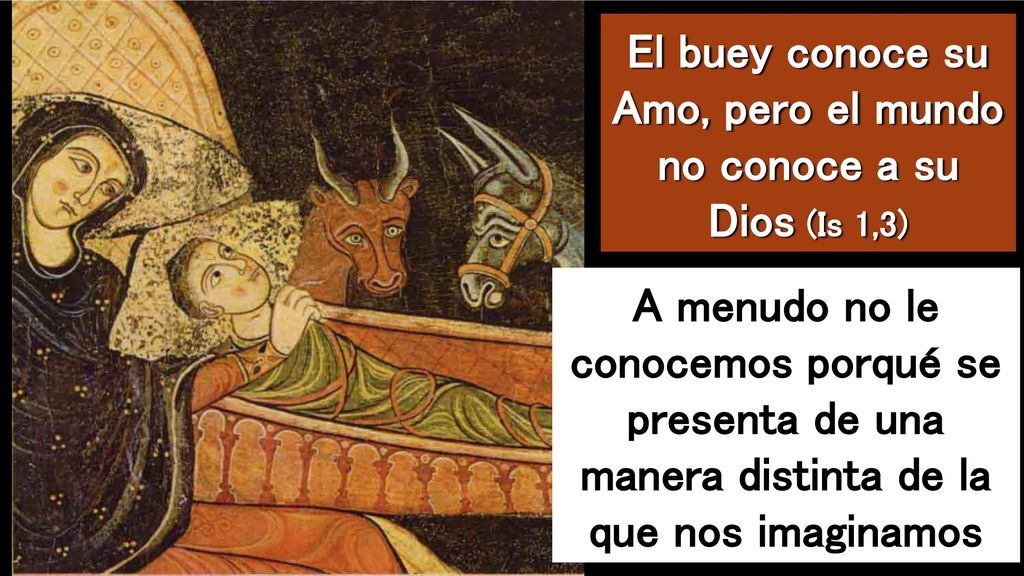 El buey conoce su Amo, pero el mundo no conoce a su Dios (Is 1,3)