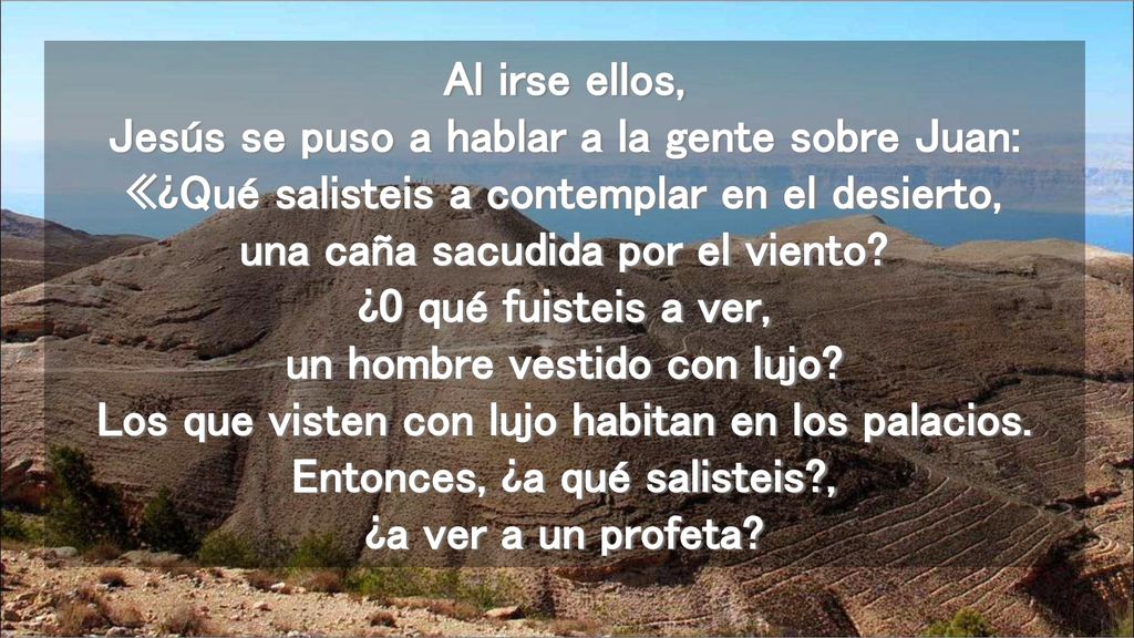 Al irse ellos, Jesús se puso a hablar a la gente sobre Juan: «¿Qué salisteis a contemplar en el desierto, una caña sacudida por el viento.