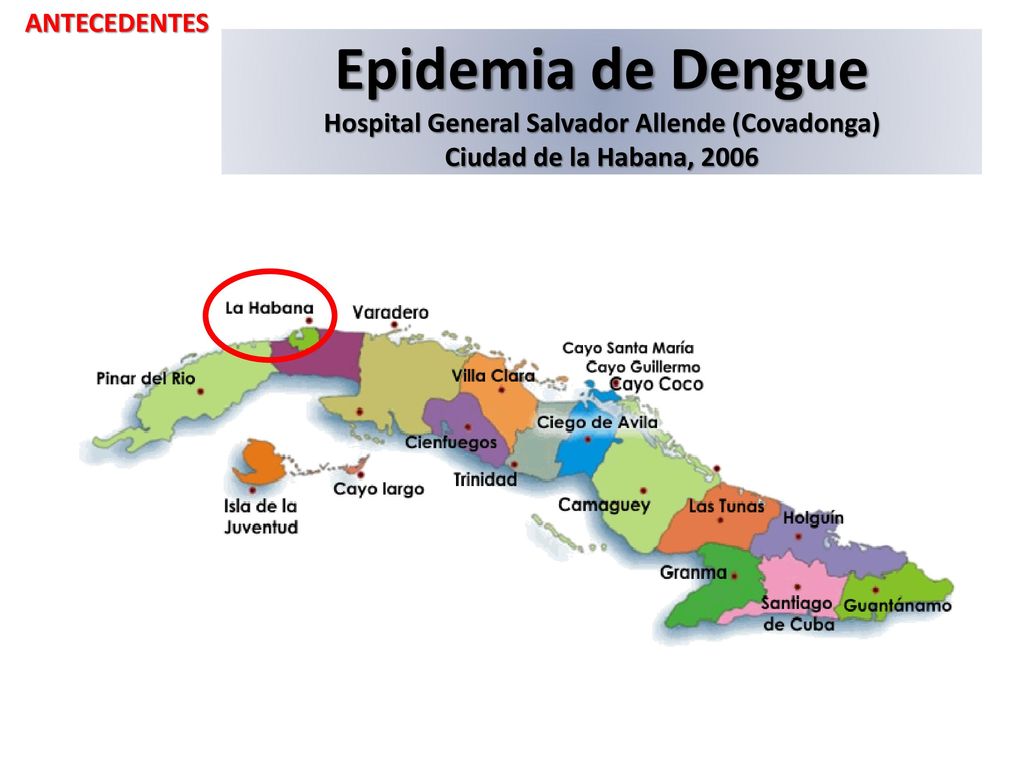 ANTECEDENTES Epidemia de Dengue Hospital General Salvador Allende (Covadonga) Ciudad de la Habana,