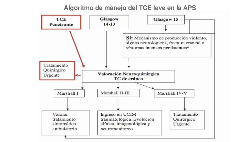 Algoritmo de manejo del TCE leve en la APS