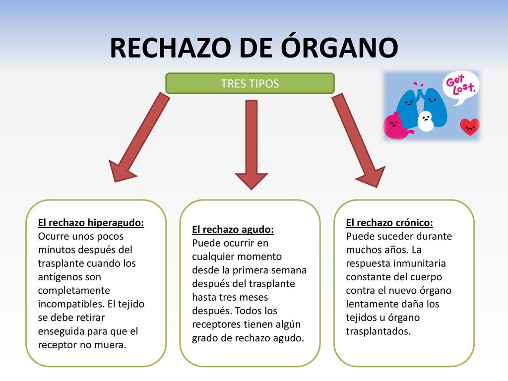 RECHAZO DE ÓRGANO TRES TIPOS El rechazo hiperagudo: