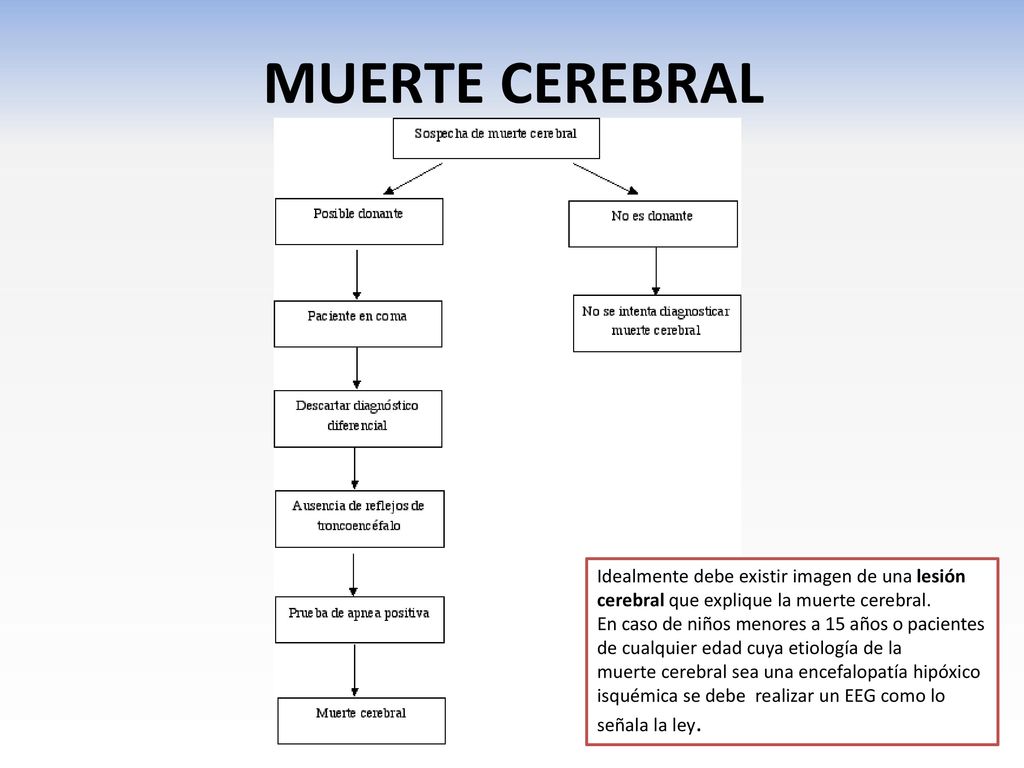 MUERTE CEREBRAL Idealmente debe existir imagen de una lesión cerebral que explique la muerte cerebral.