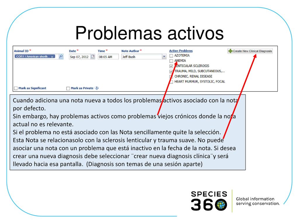 Problemas activos Cuando adiciona una nota nueva a todos los problemas activos asociado con la nota por defecto.