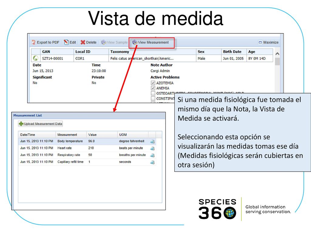Vista de medida Si una medida fisiológica fue tomada el mismo día que la Nota, la Vista de Medida se activará.