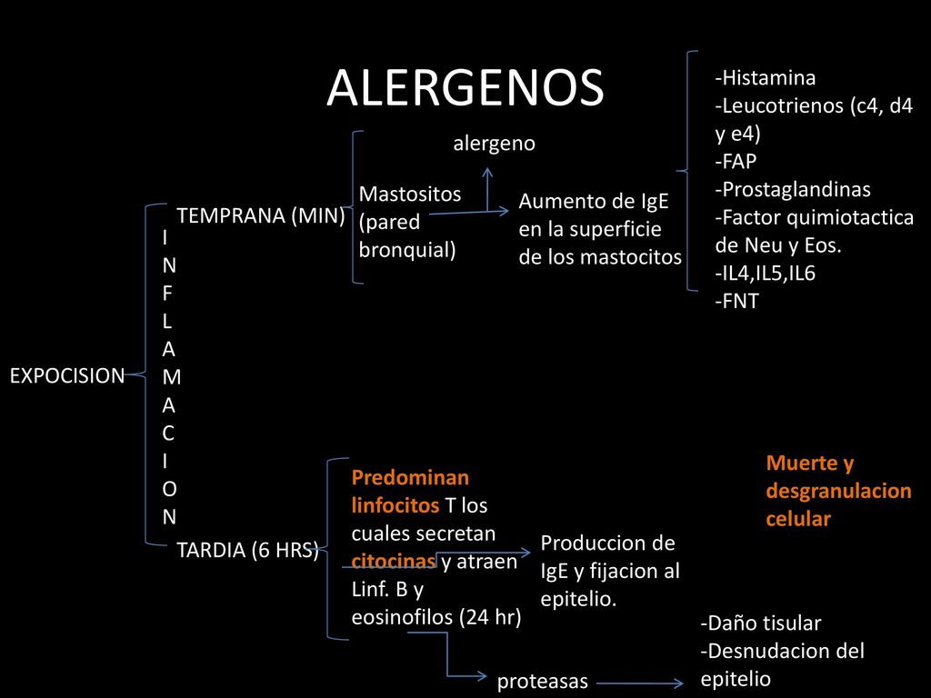 ALERGENOS Histamina Leucotrienos (c4, d4 y e4) FAP Prostaglandinas