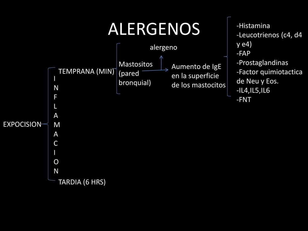ALERGENOS Histamina Leucotrienos (c4, d4 y e4) FAP Prostaglandinas