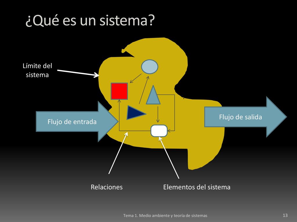 ¿Qué es un sistema Límite del sistema Flujo de salida
