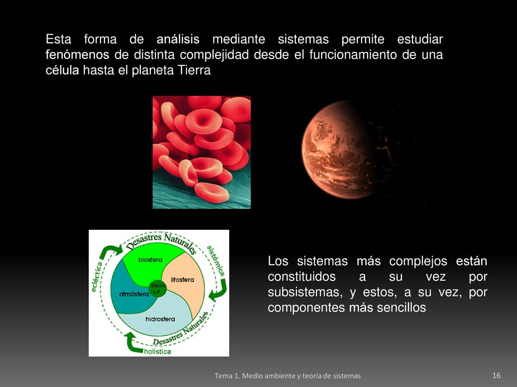 Esta forma de análisis mediante sistemas permite estudiar fenómenos de distinta complejidad desde el funcionamiento de una célula hasta el planeta Tierra