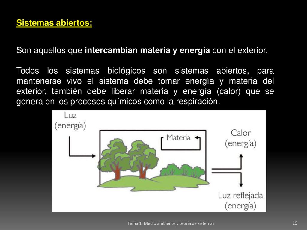 Son aquellos que intercambian materia y energía con el exterior.