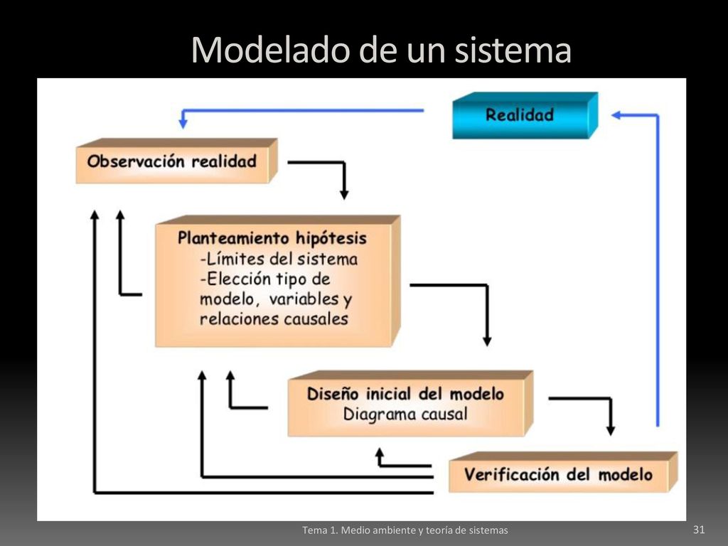 Modelado de un sistema Tema 1. Medio ambiente y teoría de sistemas