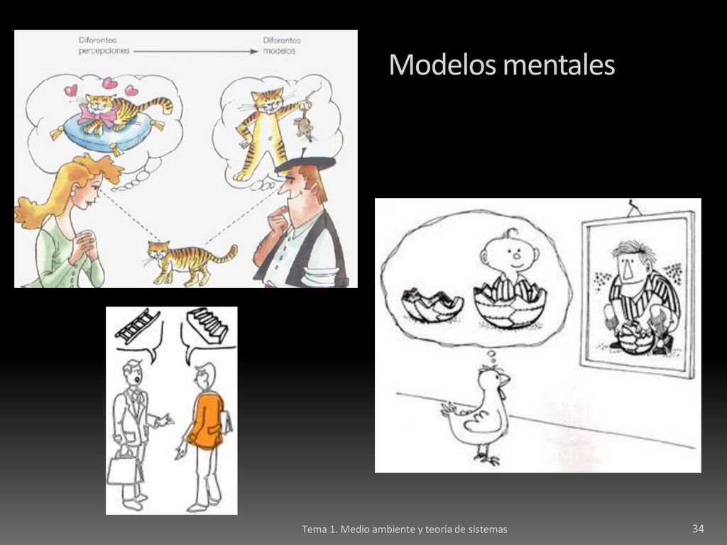 Modelos mentales Tema 1. Medio ambiente y teoría de sistemas