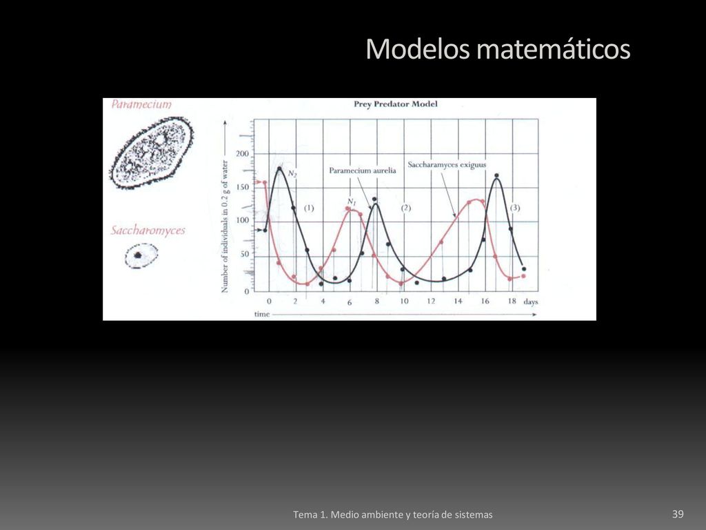 Modelos matemáticos Tema 1. Medio ambiente y teoría de sistemas