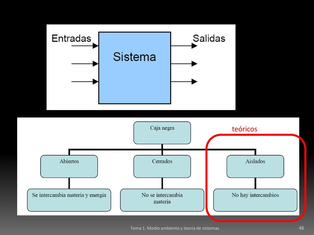 teóricos Tema 1. Medio ambiente y teoría de sistemas