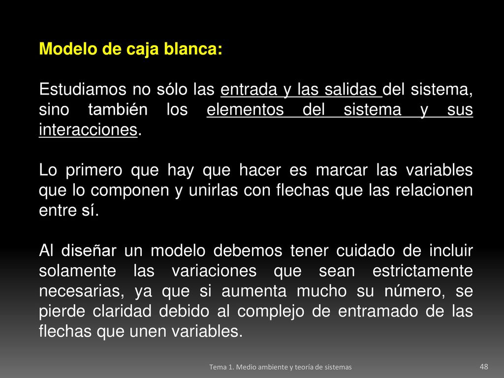 Modelo de caja blanca: Estudiamos no sólo las entrada y las salidas del sistema, sino también los elementos del sistema y sus interacciones.