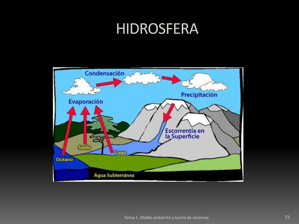 HIDROSFERA Tema 1. Medio ambiente y teoría de sistemas