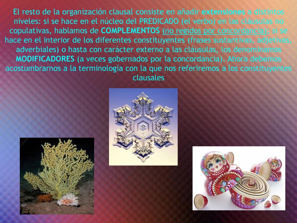 El resto de la organización clausal consiste en añadir extensiones a distintos niveles: si se hace en el núcleo del PREDICADO (el verbo) en las cláusulas no copulativas, hablamos de COMPLEMENTOS (no regidos por concordancia); si se hace en el interior de los diferentes constituyentes (frases sustantivas, adjetivas, adverbiales) o hasta con carácter externo a las cláusulas, los denominamos MODIFICADORES (a veces gobernados por la concordancia).