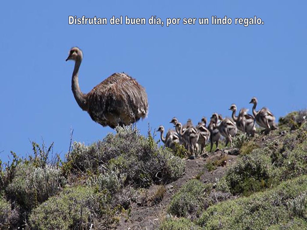 Disfrutan del buen día, por ser un lindo regalo.